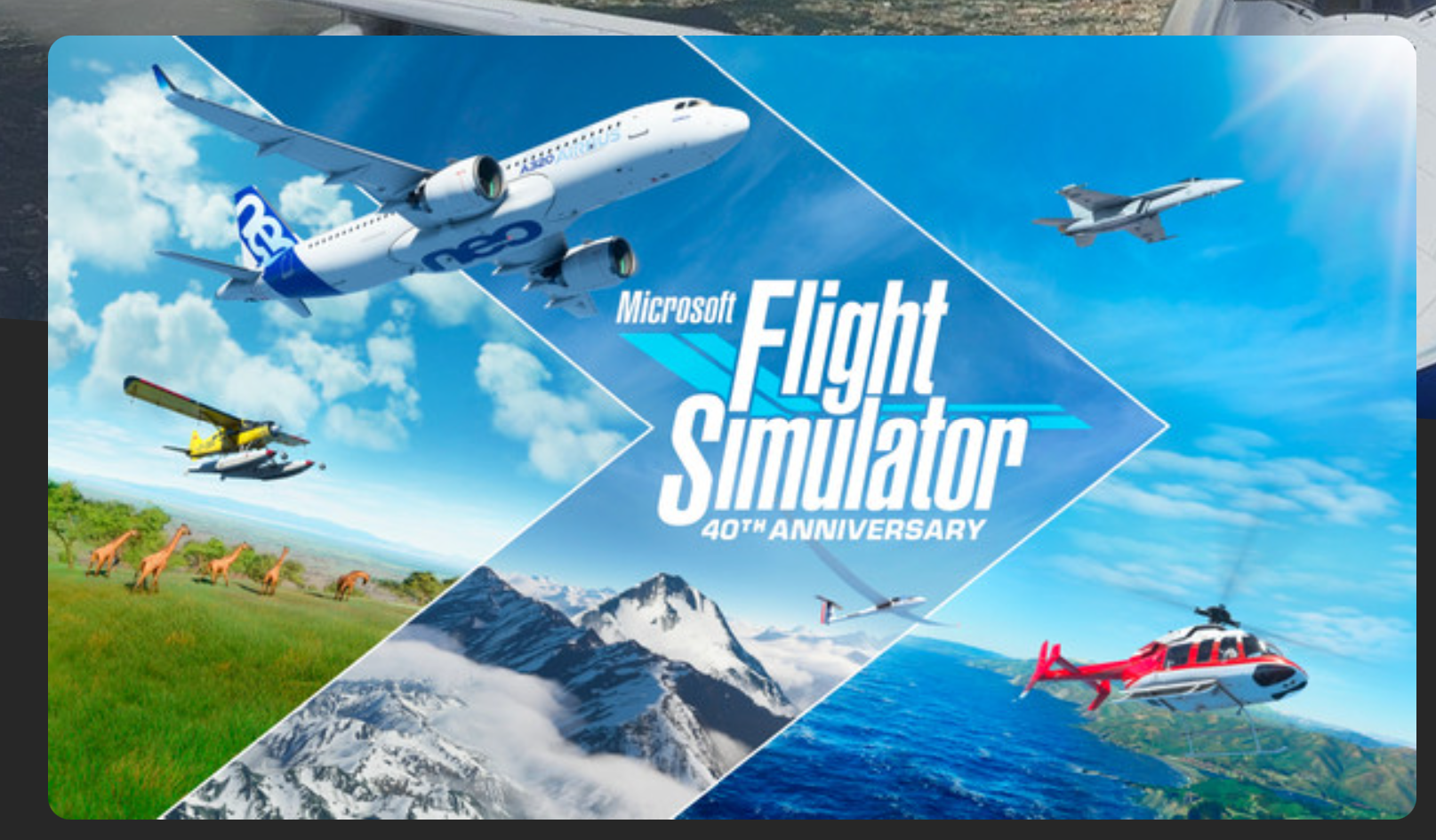 Flight Simulator