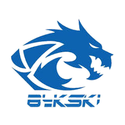 Bykski