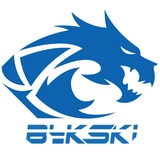 Bykski